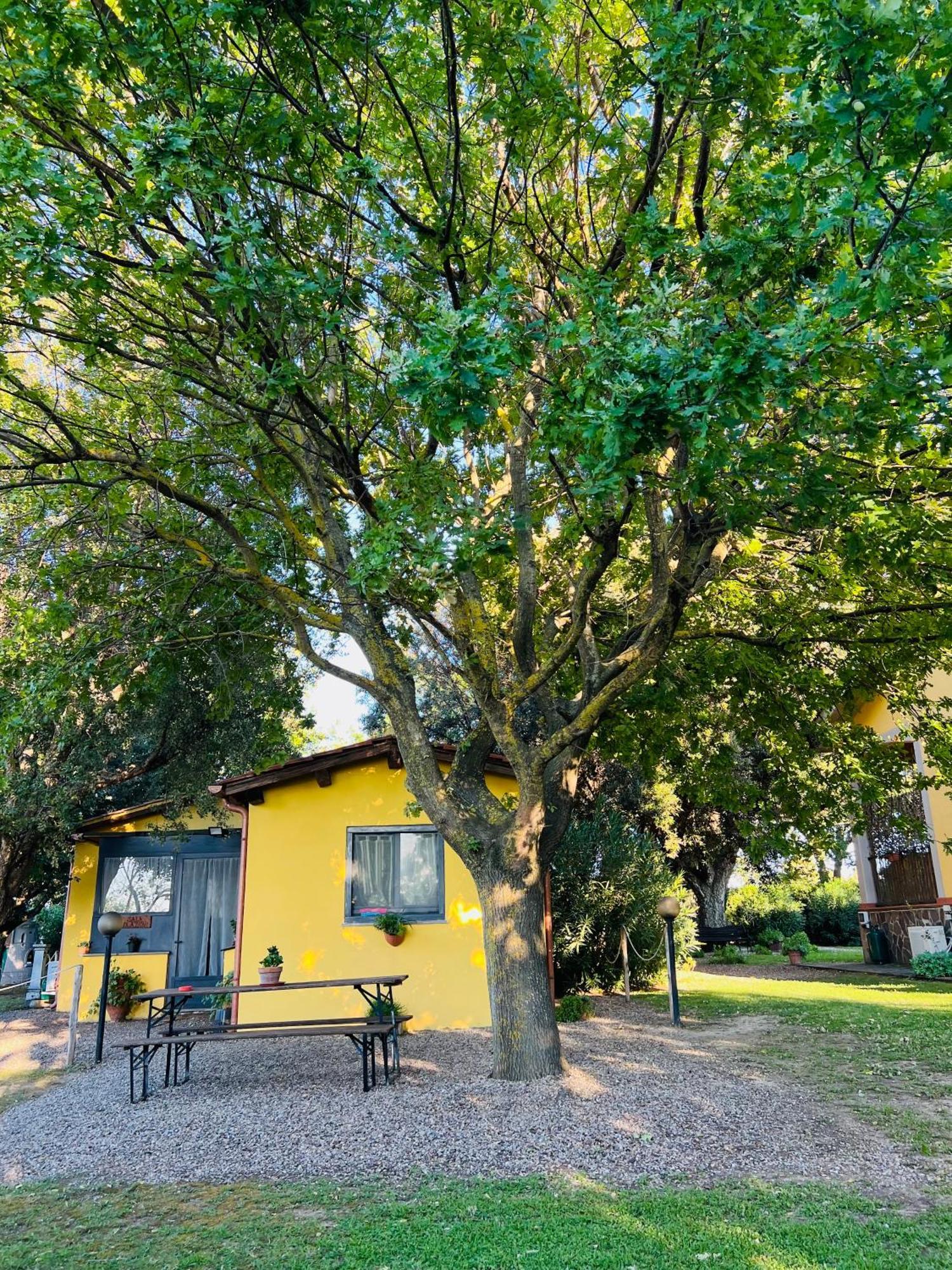 Bed and Breakfast Il Melarancio Pescia Romana Exterior foto